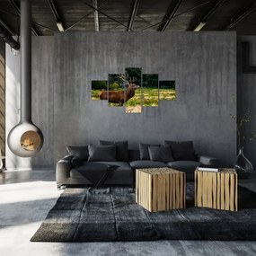Obraz jelenia (125x70 cm)
