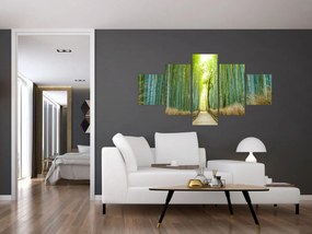 Obraz - Las bambusowy (125x70 cm)
