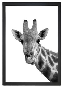 Obraz 24x29 cm Giraffe – Vavien Artwork