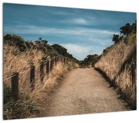 Obraz na szkle - Na szlaku (70x50 cm)