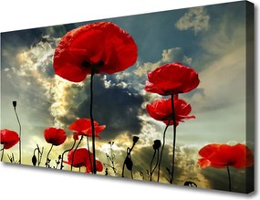 Obraz drukowany na płótnie Czerwone Maki o Poranku