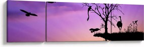 Obraz - Sylwetki zwierząt (170x50 cm)