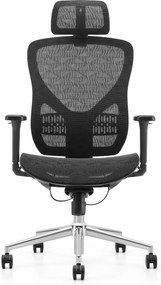 Fotel siatkowy do pracy przy komputerze Herta, zgodny z normą BHP