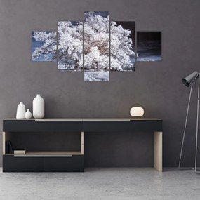 Obraz - Śnieżnobiałe drzewo (125x70 cm)