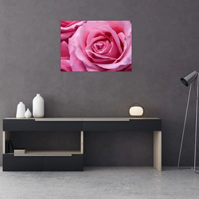 Obraz na szkle róży (70x50 cm)