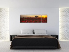 Obraz łąki z makami (170x50 cm)