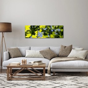 Obraz - liście klonu (z zegarem) (90x30 cm)