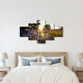 Obraz pola lawendy (125x70 cm)
