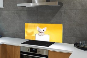 Panel szklany do Kuchni Kot w Oczekiwaniu
