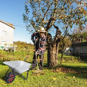 Taczka ogrodowa ocynkowana BARRY, max. pojemność 100l/250kg, srebrna/czarna Gardebruk