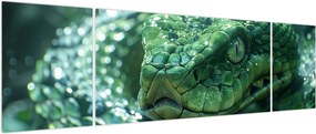 Obraz - Portret węża (170x50 cm)