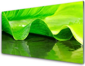 Panel Szklany Makro Struktura Liścia