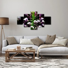 Obraz kwiatu (125x70 cm)