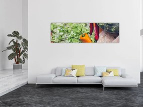 Obraz warzyw (170x50 cm)