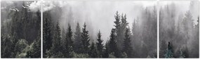 Obraz - Las z ilustrowanymi elementami (170x50 cm)