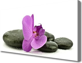 Obraz canvas Królewska Orchidea w Detalu