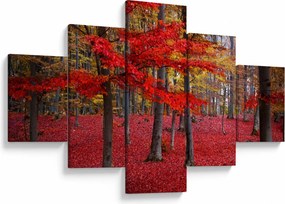 Obraz - Czerwony Las (125x70 cm)