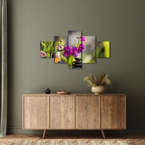 Obraz - spa and stones (125x70 cm)
