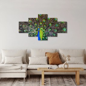 Obraz - Paw (125x70 cm)