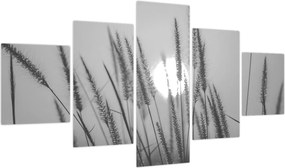 Obraz - Łąka o zachodzie słońca (125x70 cm)
