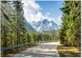 Foto obraz szkło hartowane Droga Tatry