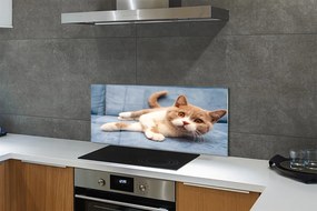 Panel szklany do Kuchni Spokojny Odpoczynek Kota