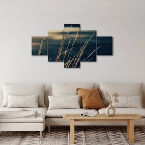 Obraz traw (125x70 cm)