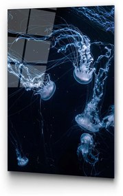 Szklany obraz 70x100 cm Jelly Fish – Wallity