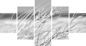 Obraz - Trawa plażowa (125x70 cm)