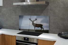 Panel nad Blat Kuchenny Jeleń w Nocnej Scenerii