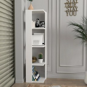 Biblioteczka Venita White