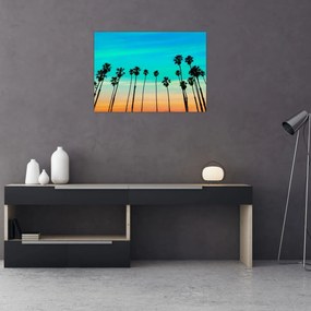 Obraz na szkle - Kalifornia (70x50 cm)