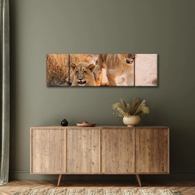 Obraz lwiątek (170x50 cm)