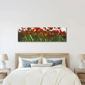 Obraz maków na wietrze (170x50 cm)