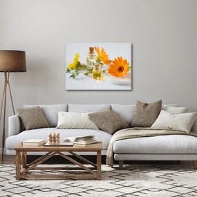 Obraz pomarańczowych kwiatów (70x50 cm)