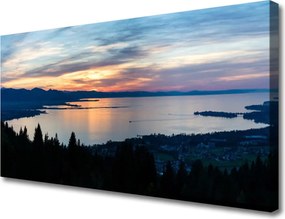 Duży obraz na płótnie Taniec Nasion Dmuchawca na Wietrze