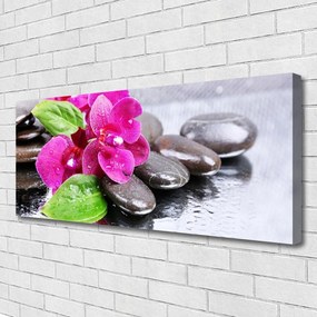 Duży obraz na płótnie Egzotyczny Storczyk w Detalu