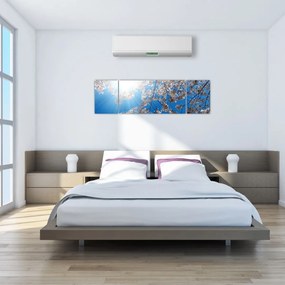 Obraz - Wiśniowe kwiaty (170x50 cm)