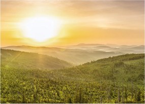 Obraz panoramiczny (70x50 cm)