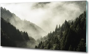Foto obraz szkło hartowane Mgła nad lasem