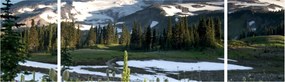 Obraz - Mount Rainier (170x50 cm)