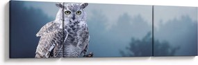 Obraz - Sowa śnieżna (170x50 cm)