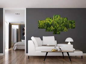 Obraz - Gęsty las (125x70 cm)