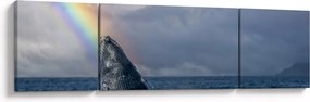 Obraz - Garbus (170x50 cm)