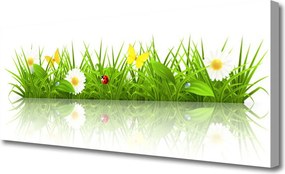 Obraz canvas na ścianę Zielona Świeżość Trawy