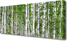 Obraz na płótnie Świetlisty Las Brzozowy