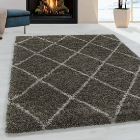 Brązowy dywan 240x340 cm Alvor – Ayyildiz Carpets