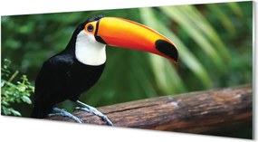 Panel szklany do Kuchni Tukan: Symbol Tropików