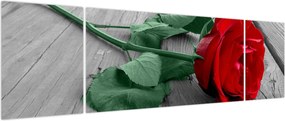 Obraz - Czerwona róża z zieloną łodygą (170x50 cm)