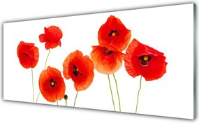 Panel Szklany Rozkwit Czerwonych Maków